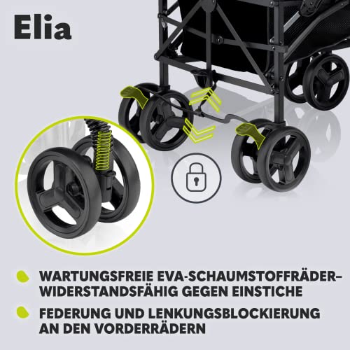 Buggy Lionelo Elia – bis 15 kg, Rücken - & Fußstütze verstellbar, mit Moskitonetz – Farbe: Grau