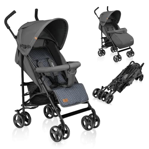 Buggy Lionelo Elia – bis 15 kg, Rücken - & Fußstütze verstellbar, mit Moskitonetz – Farbe: Grau