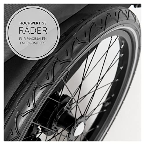 Fahrradanhänger Hauck Dryk Duo – für 2 Kinder, mit Buggyrad & Fahne – Grau