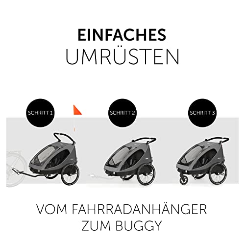 Fahrradanhänger Hauck Dryk Duo – für 2 Kinder, mit Buggyrad & Fahne – Grau