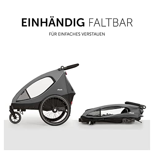 Fahrradanhänger Hauck Dryk Duo – für 2 Kinder, mit Buggyrad & Fahne – Grau